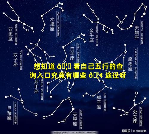想知道 🦅 看自己五行的查询入口究竟有哪些 🦢 途径呀